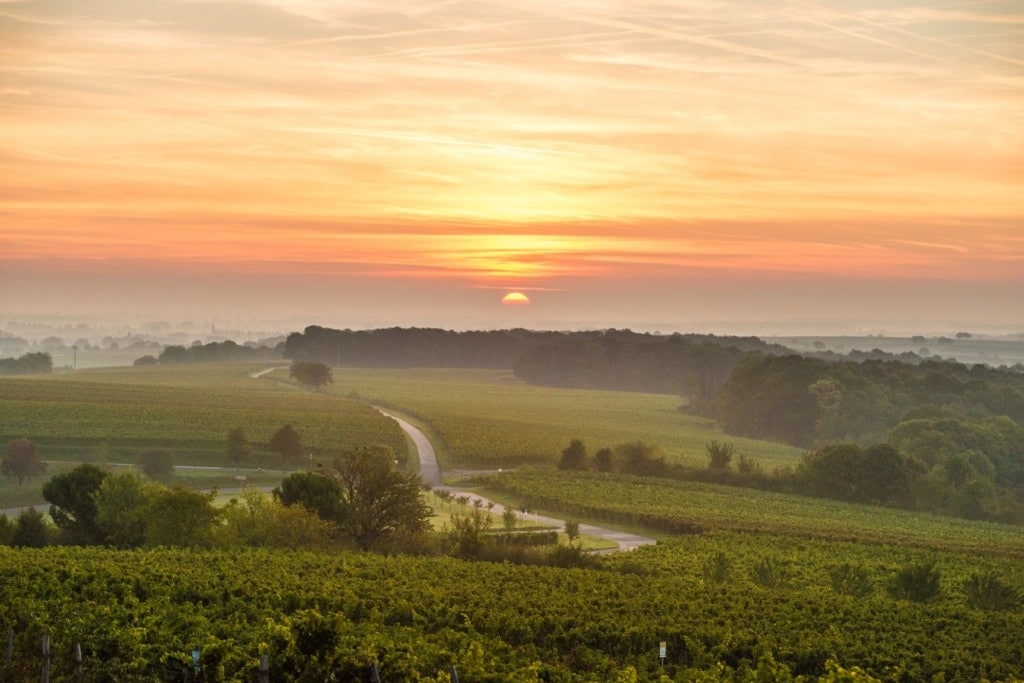 Landschaft in der Pfalz