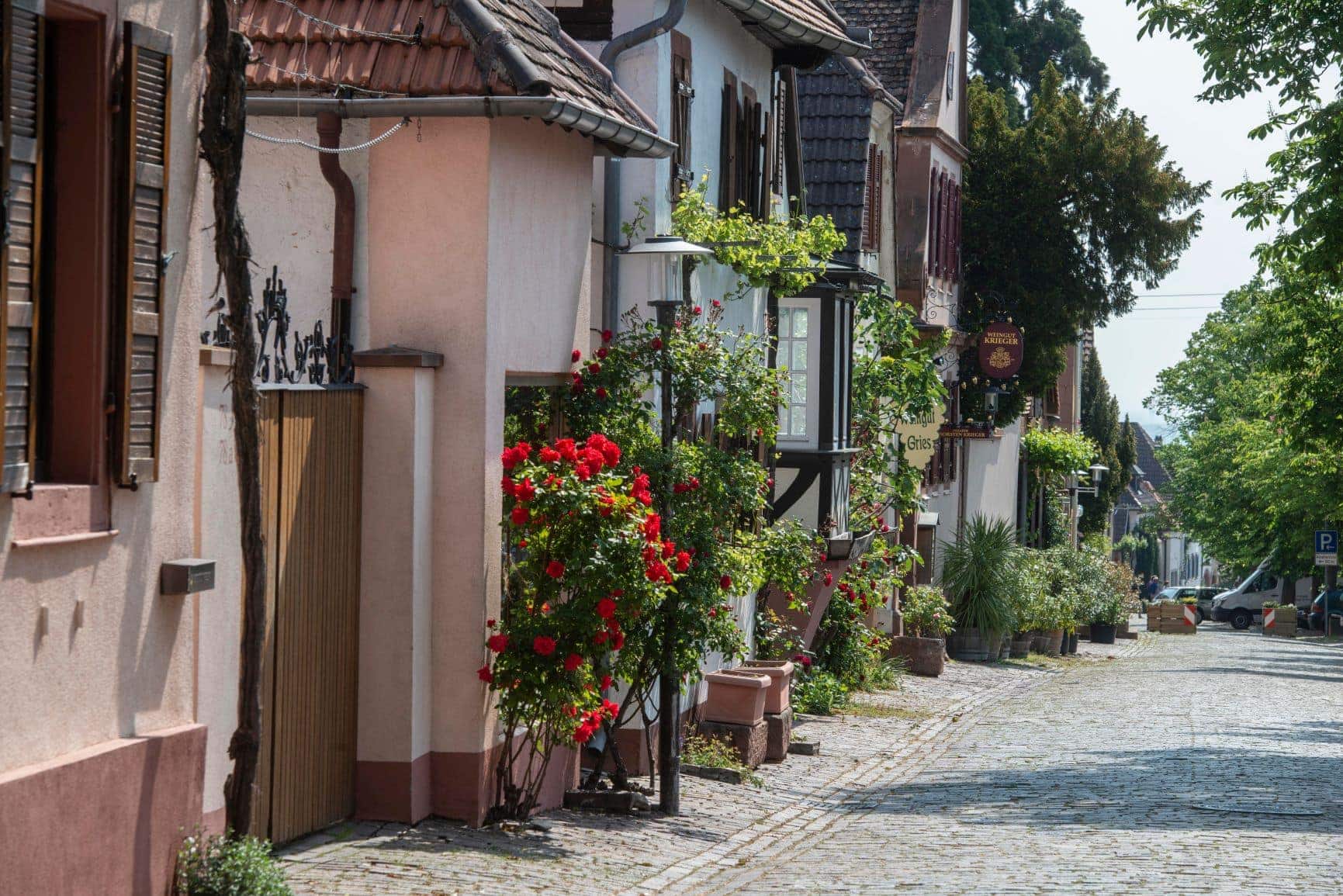 Straße im Ort Rhodt in der Pfalz