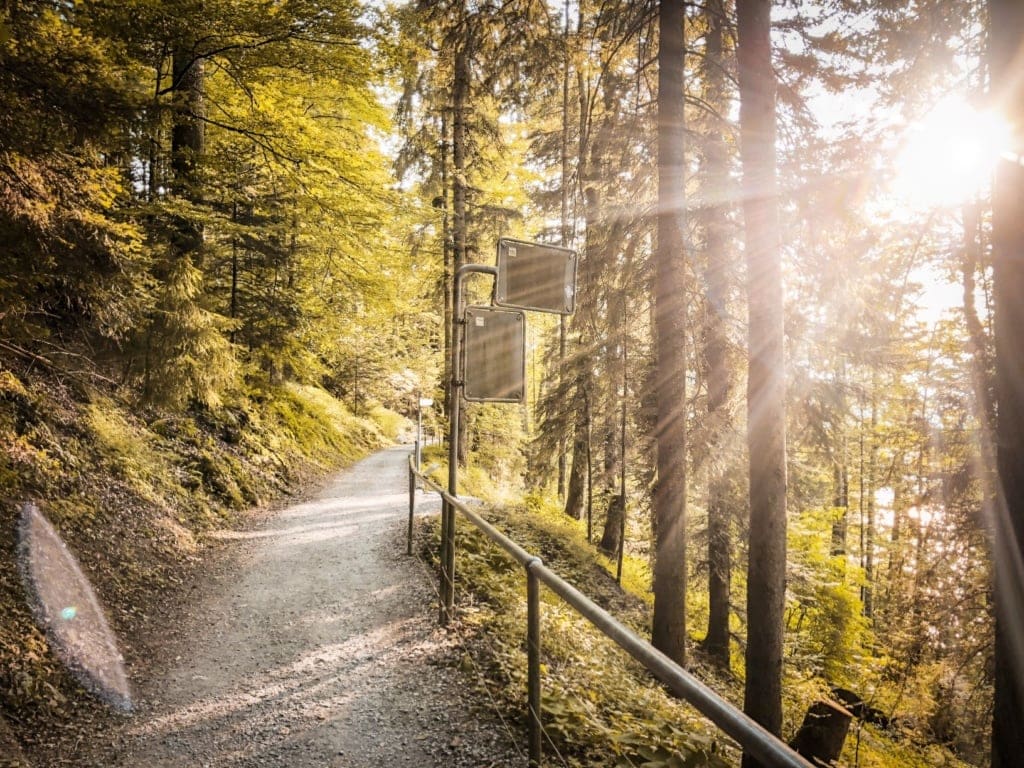 Wanderweg in der Nähe von Zürich