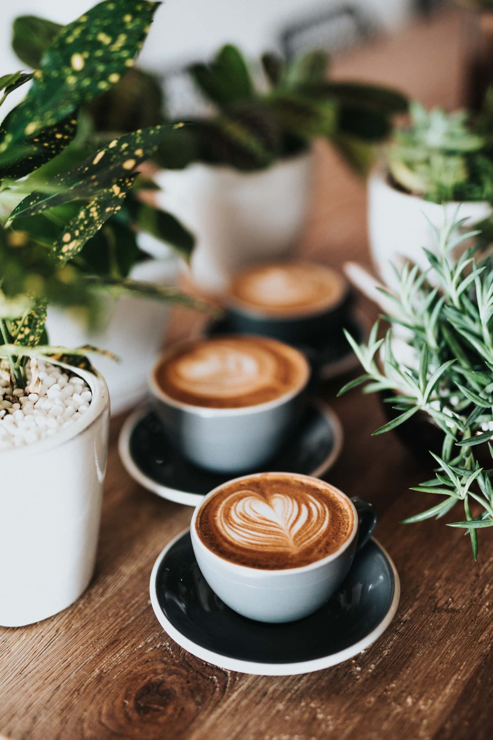 Café Zürich