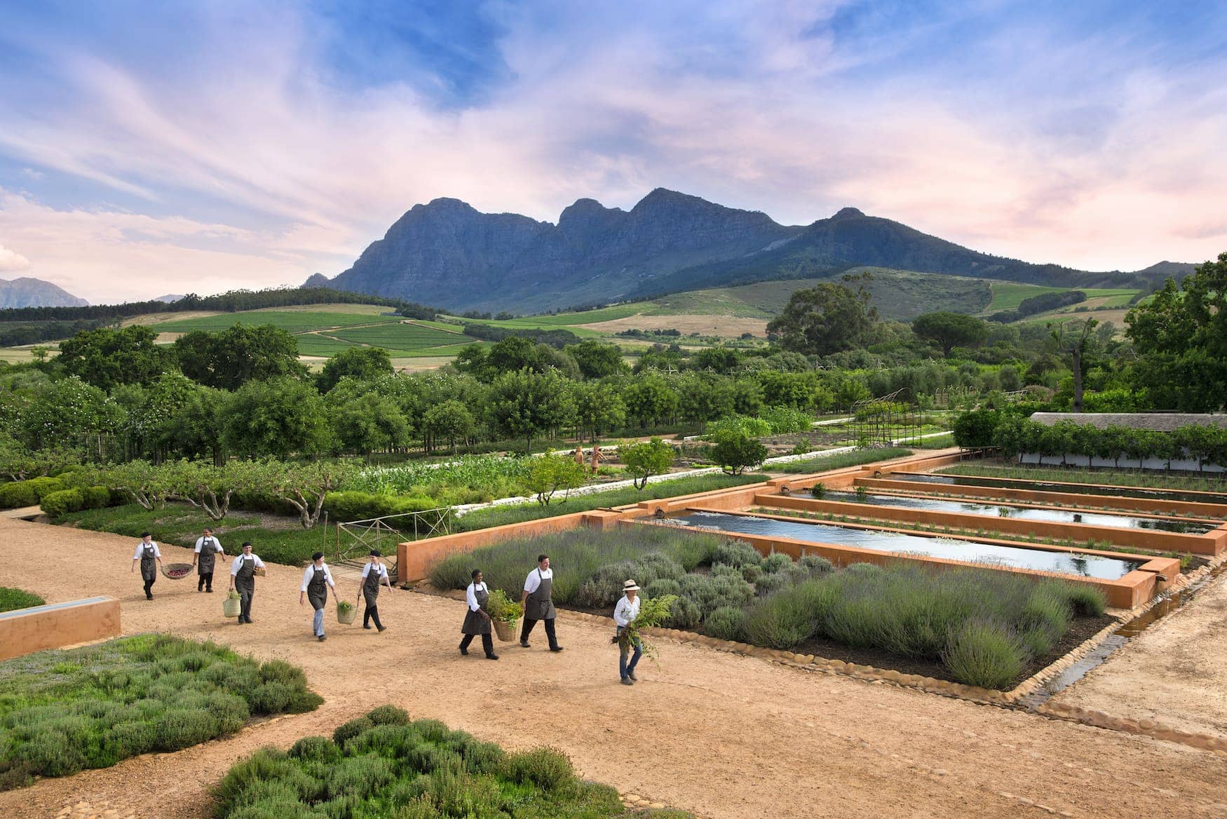 Farm-to-fork-Prinzip in Paarl, Südafrika