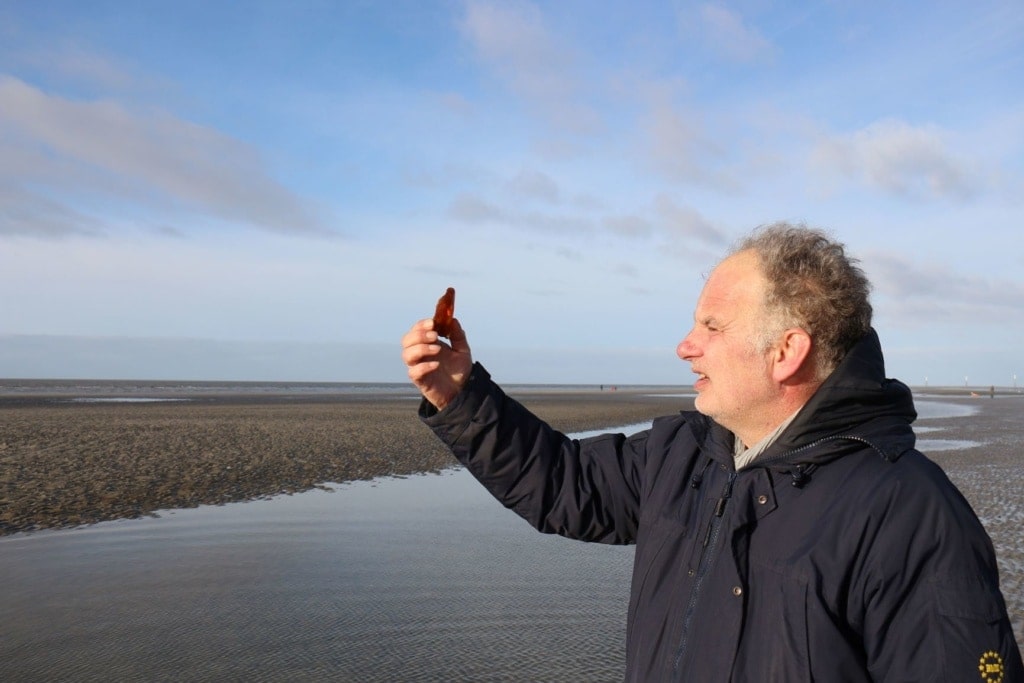Boy Jöns betrachtet Bernstein in der Nordsee
