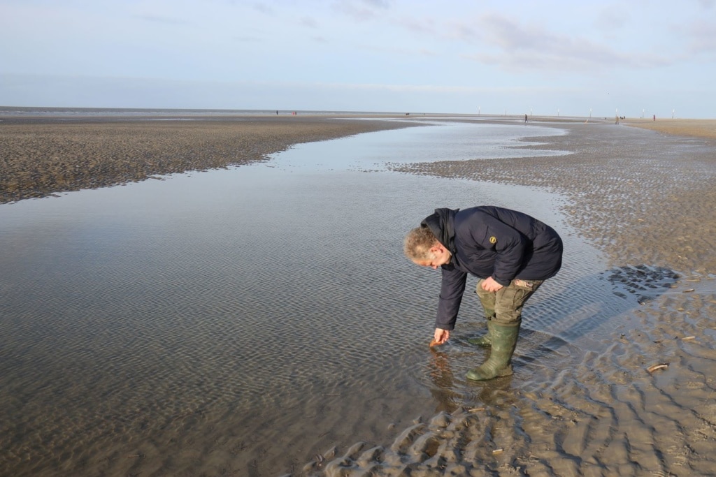 Boy Jöns,Nordsee