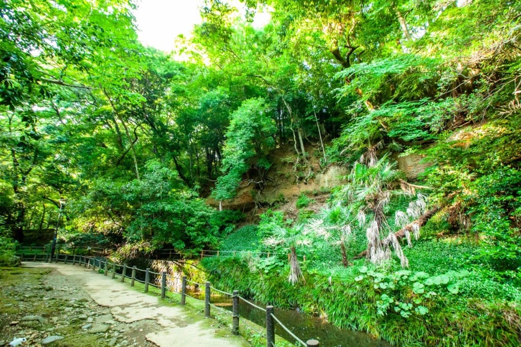 Todoroki-Tal in Tokio,Park
