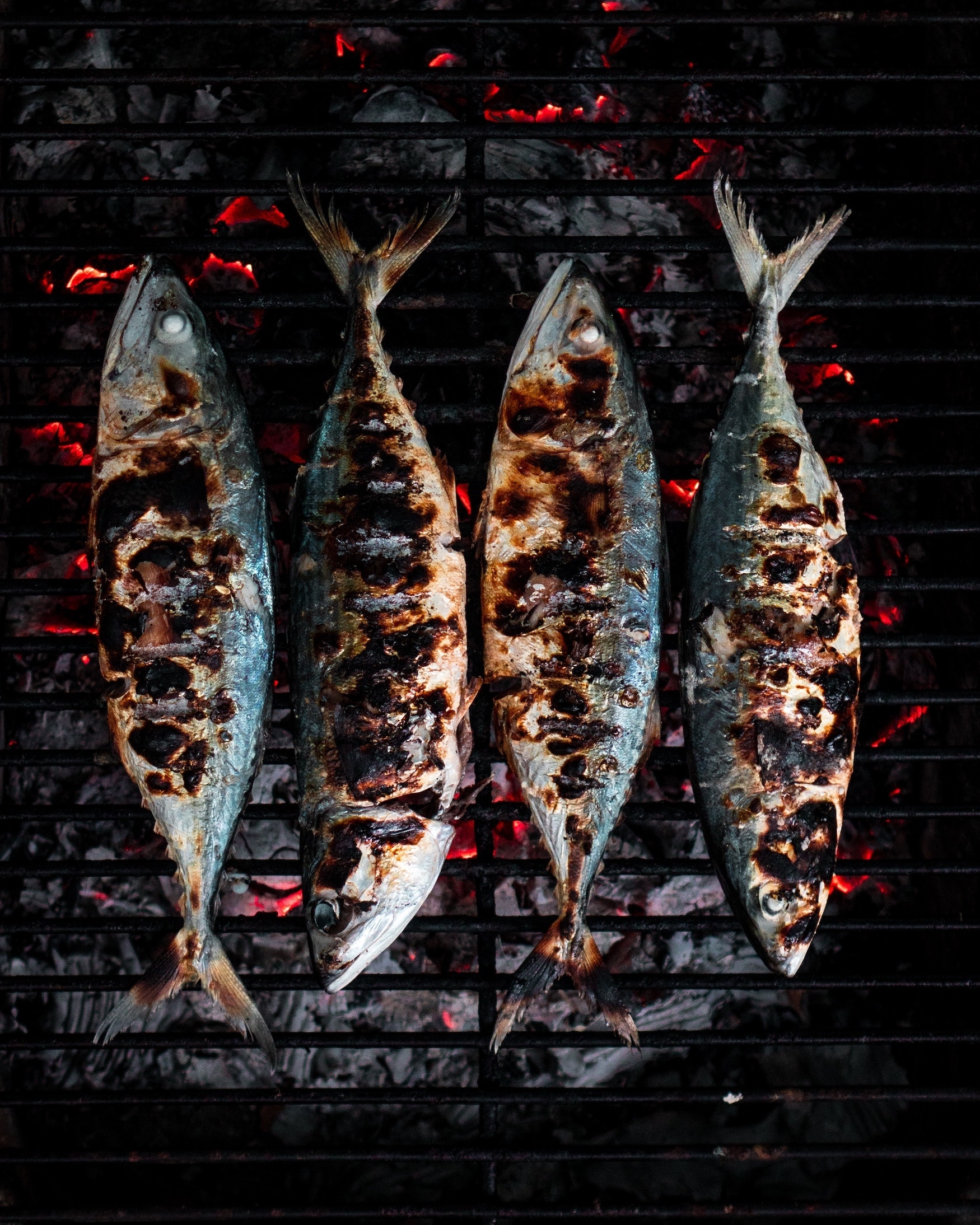 Hippes Dubai - Fisch essen