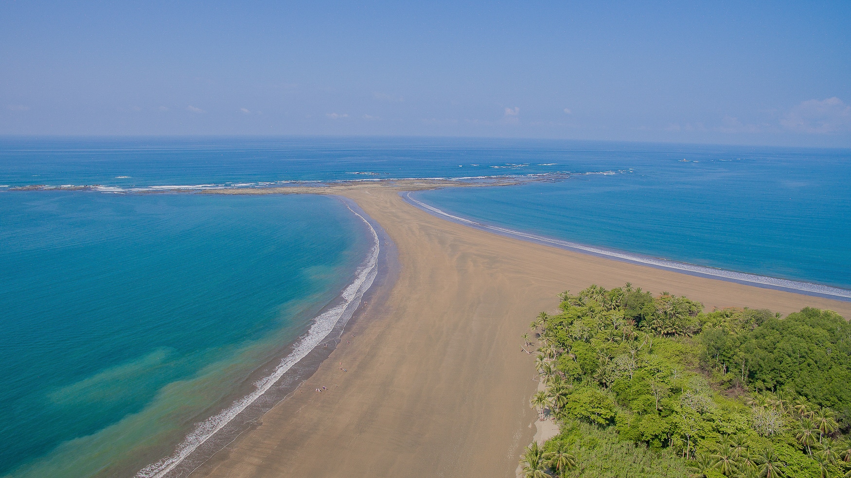 Walflosse im Nationalpark in Costa Rica