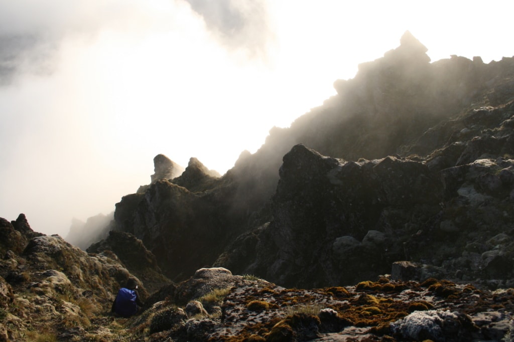 Über den Wolken ragt der Gipfel des Hikurangi in Neuseeland empor - der Aufstieg ist nichts fürs schwache Nerven.