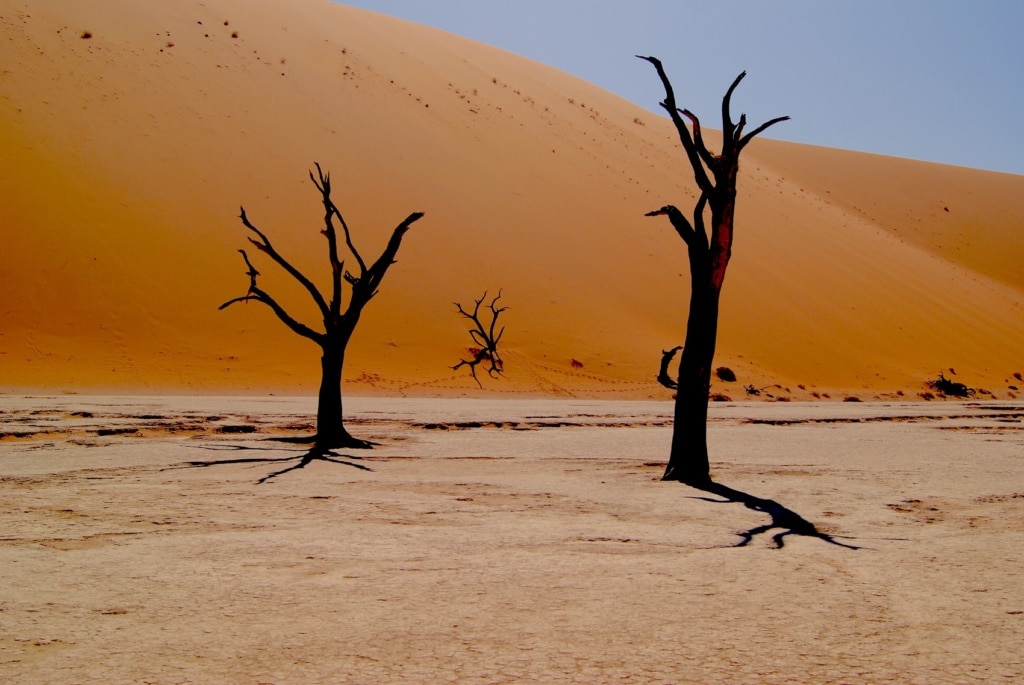 Sossusvlei in Namibia ist eine der spektakulärsten Wüsten der Welt.