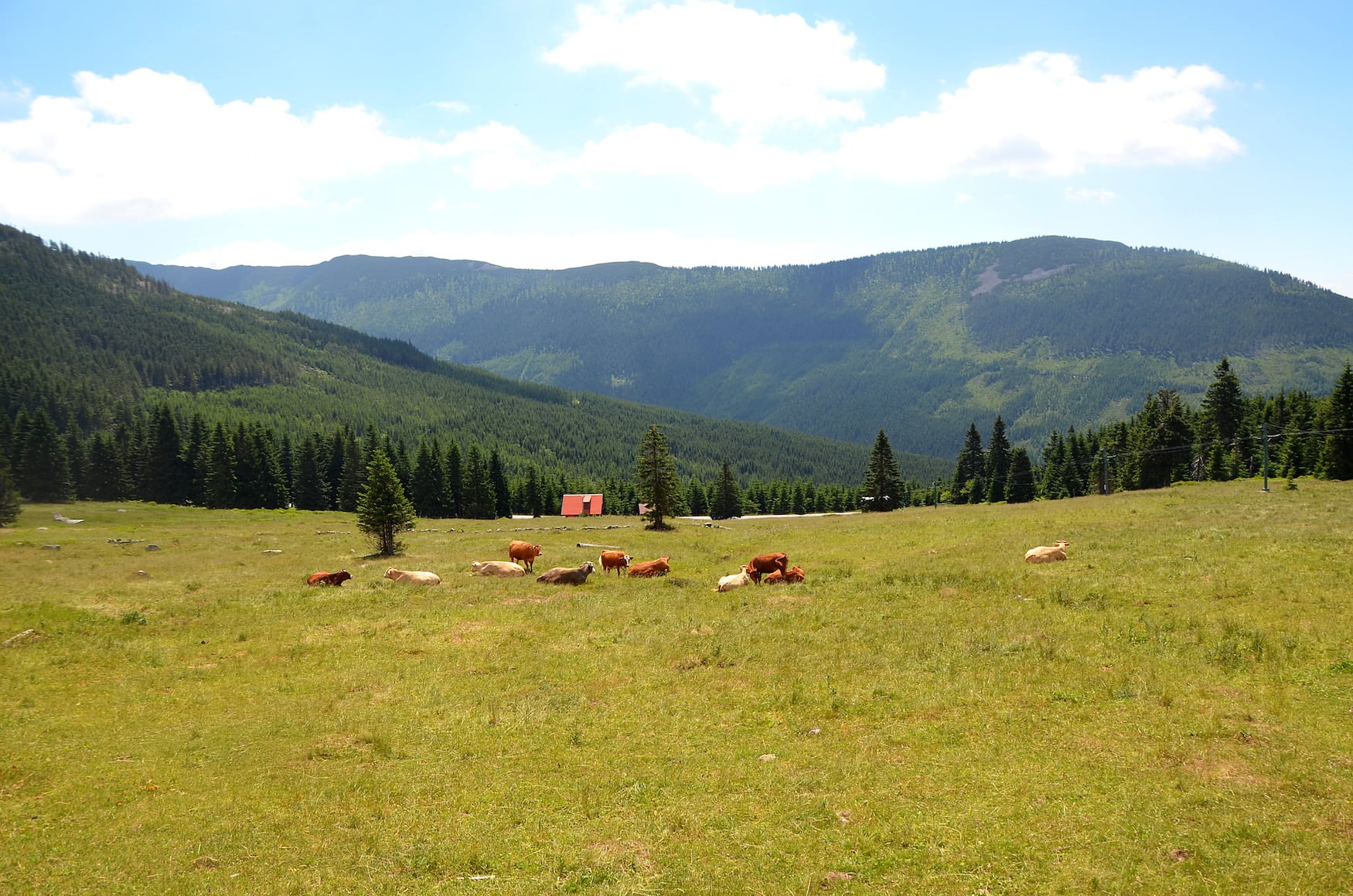 Riesengebirge