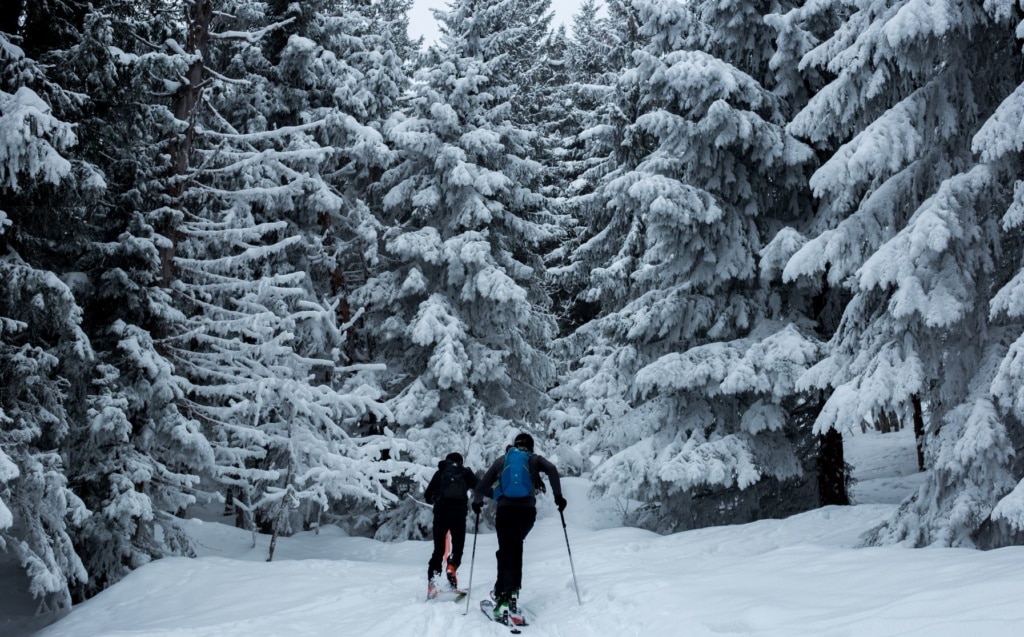 Skifahrer im Wald in Frankreich