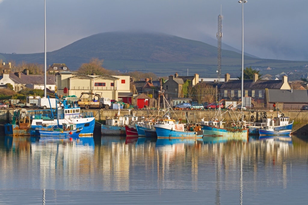 Seelenruhig schaukeln die Fischerboote im Hafen von Dingle.