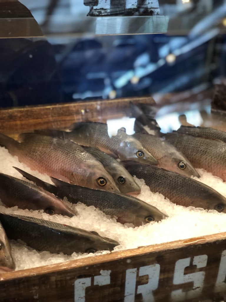 Eisgekühlter Fisch in Auslage auf den Florida Keys
