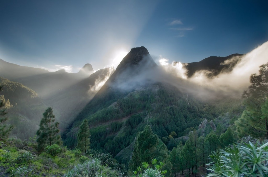 Garajonay National Park, La Gomera