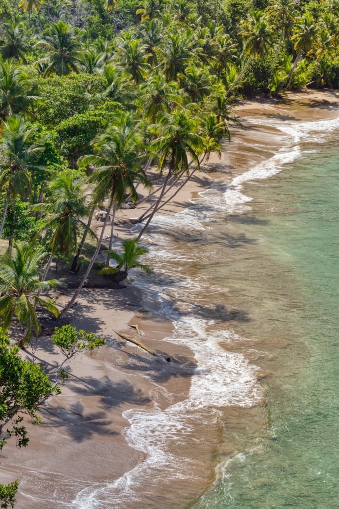 Die Natur Dominicas ist eine Schatzkammer der Natur.