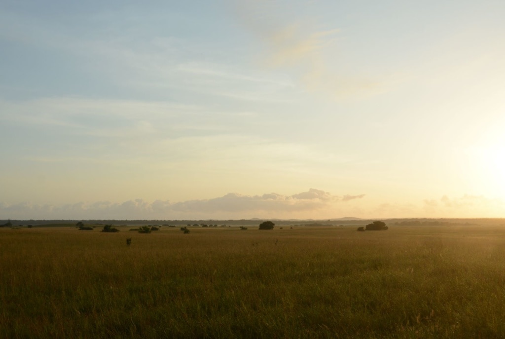 Blick auf Landschaft in Mosambik