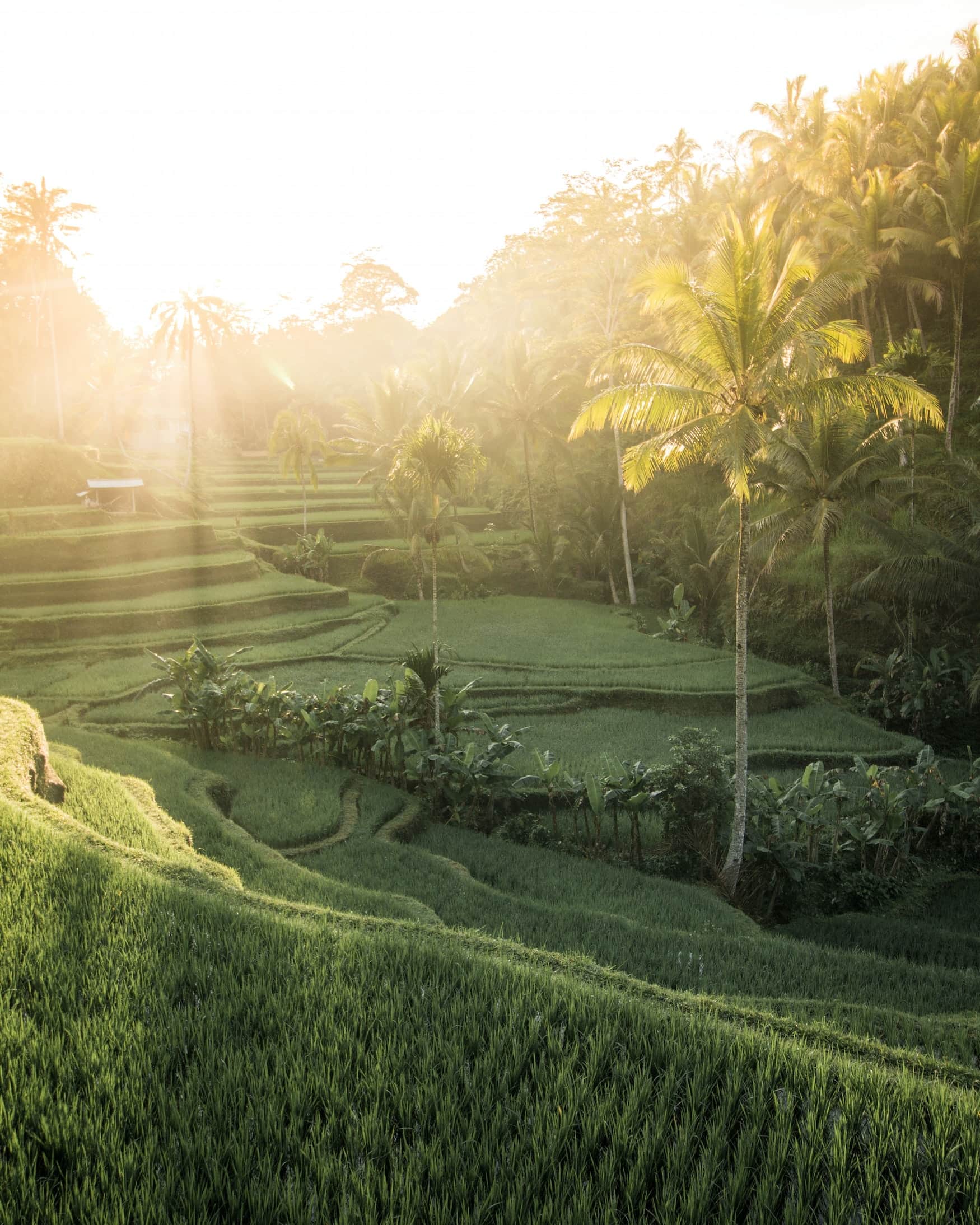 Bali Filmkulisse