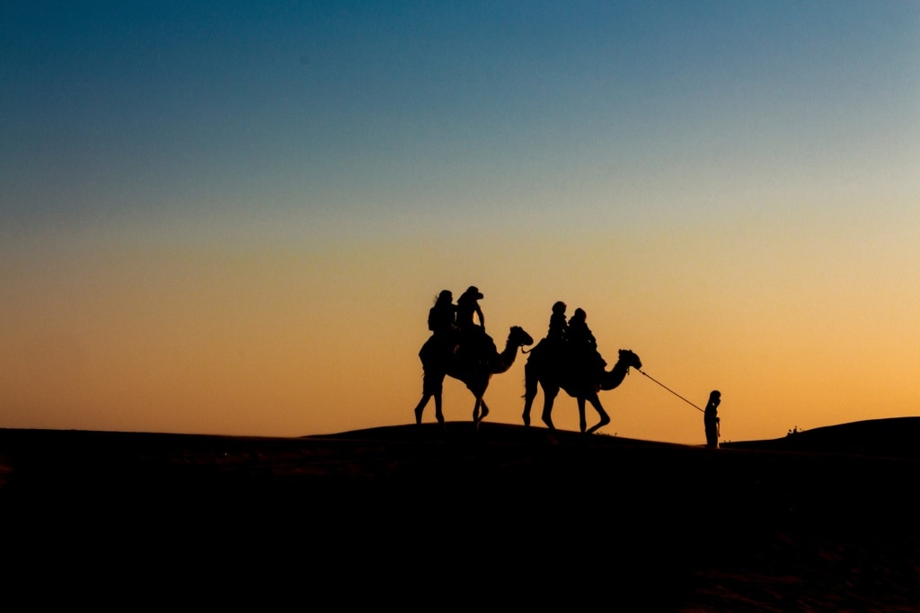 Kamelritt durch die Wüste bei Sharjah