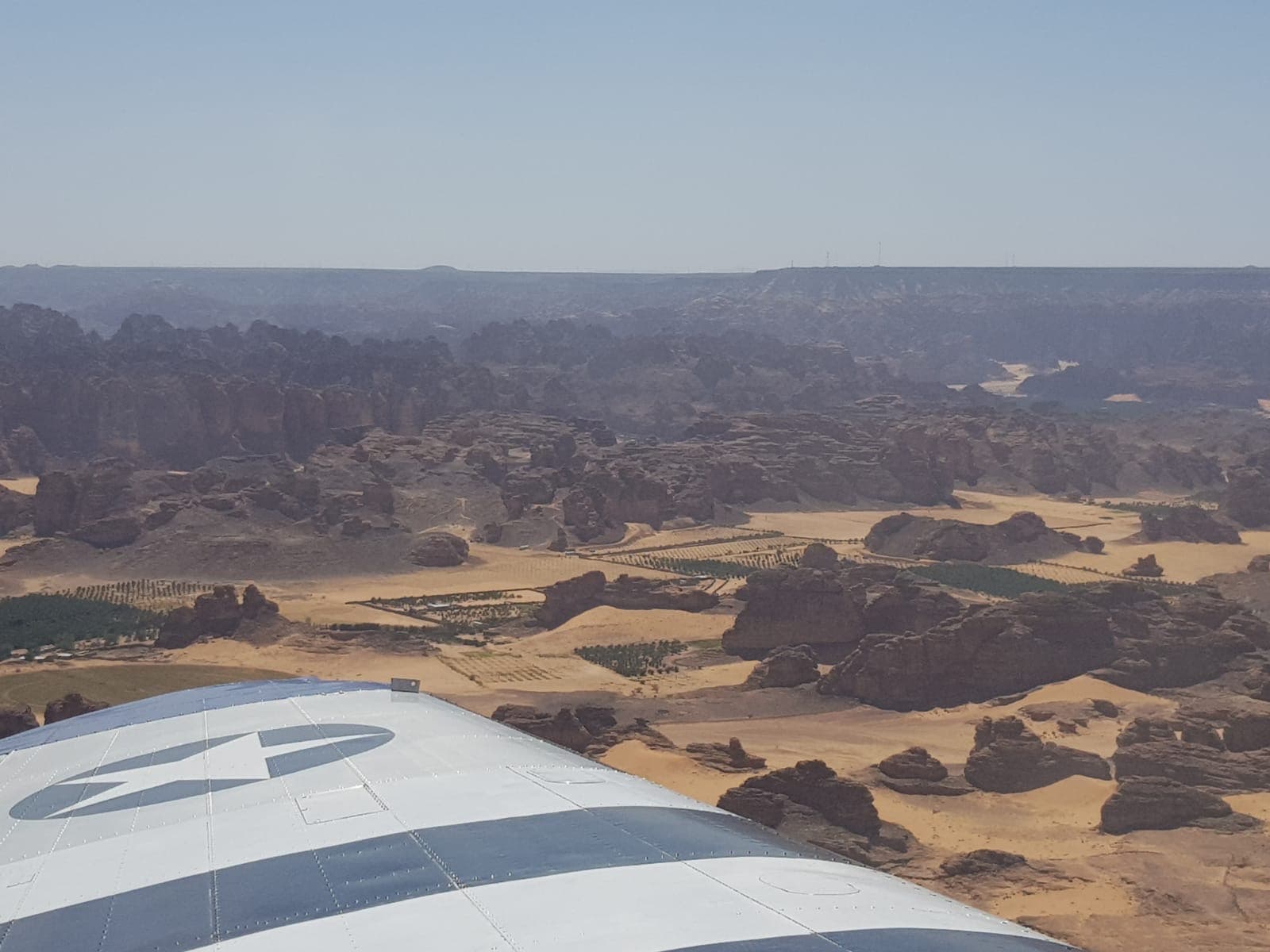 Dattelpalmenplantagen in Al-Ula