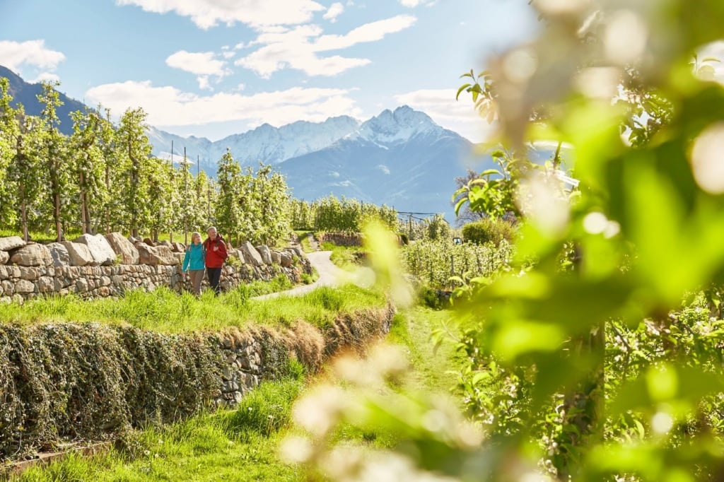 Wanderer im Meraner Land