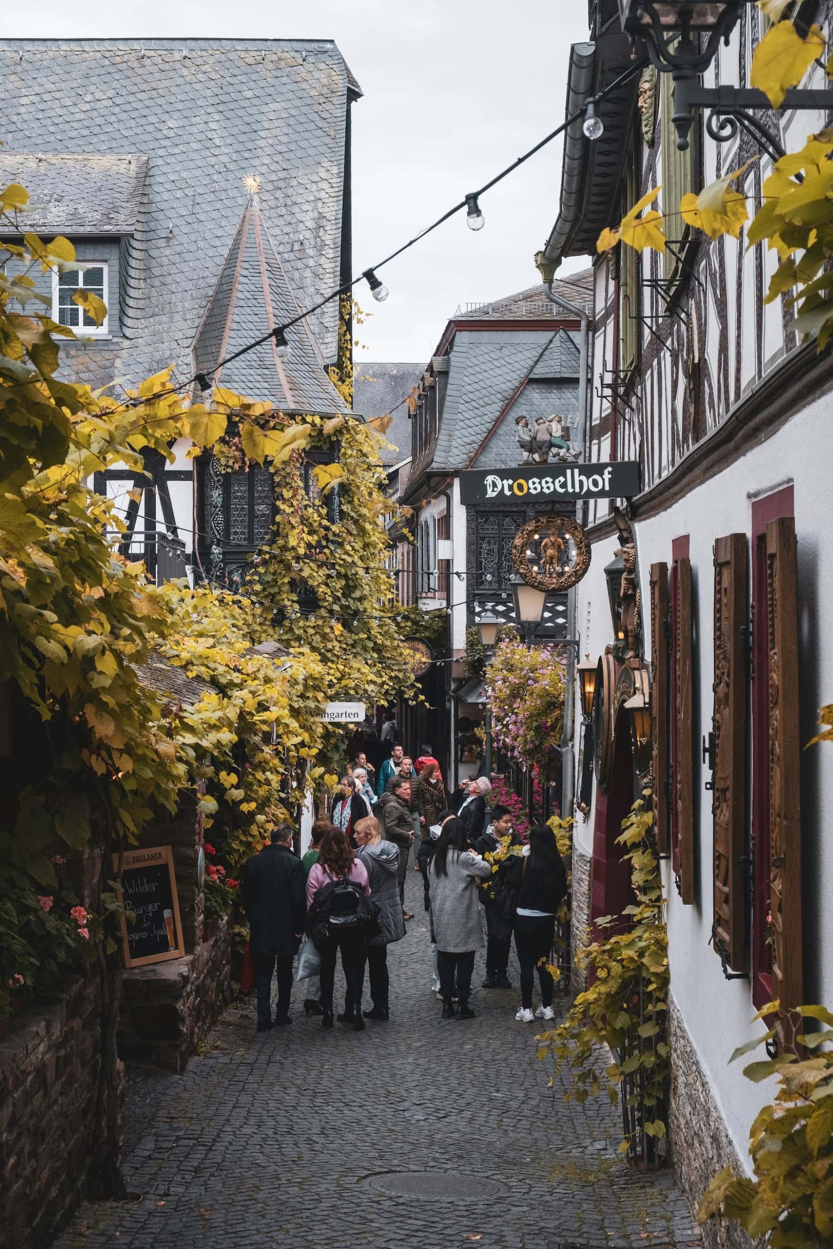 Altstadt am Rhein