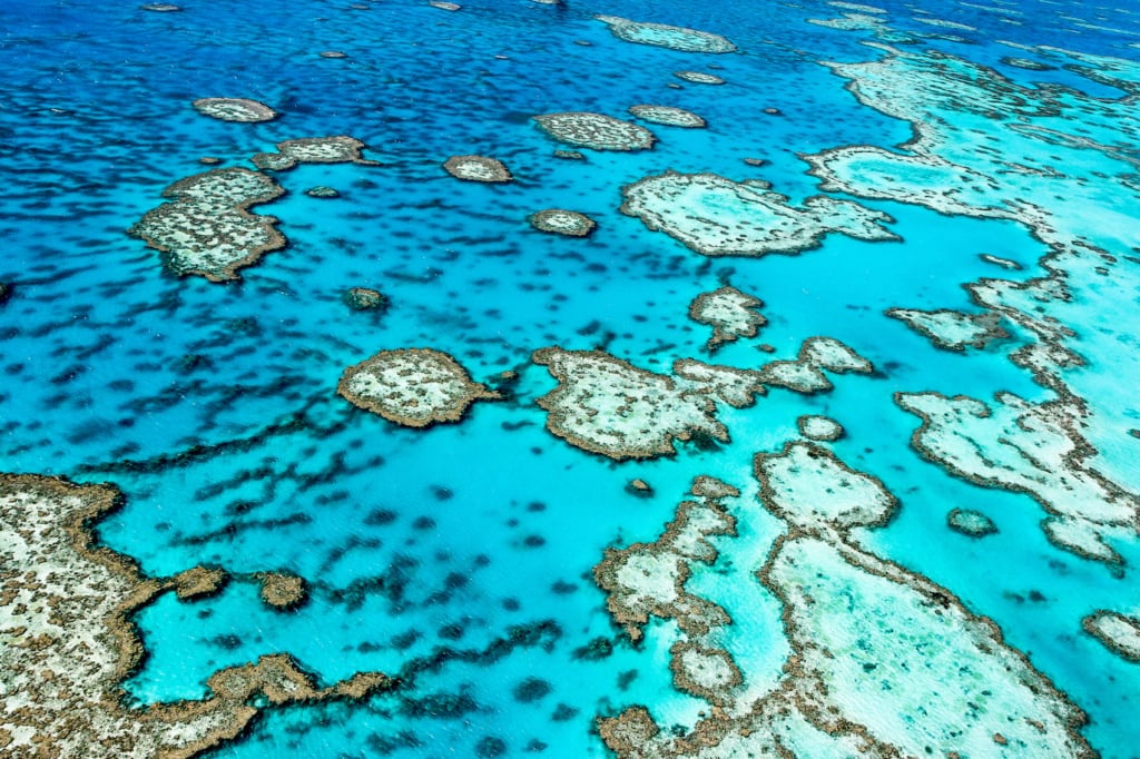Das Great Barrier Reef in Australien ist das größte Korallenriff der Welt. 