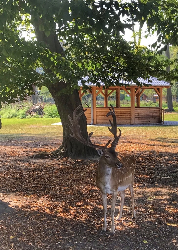 Lindenthaler Tierpark