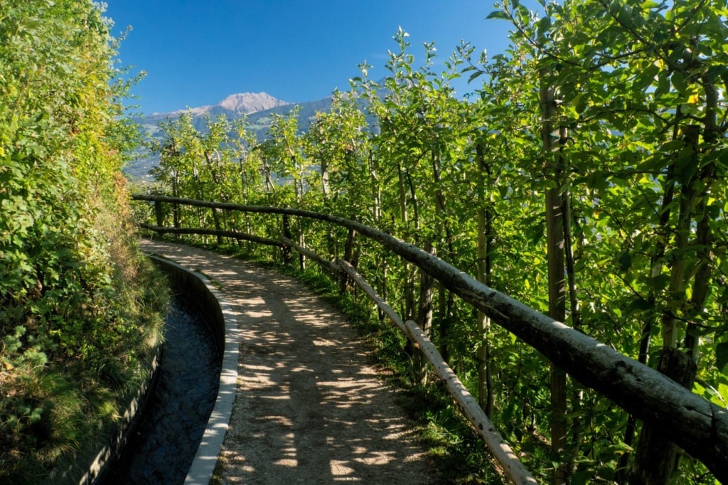 Markinger Waalweg in Südtirol