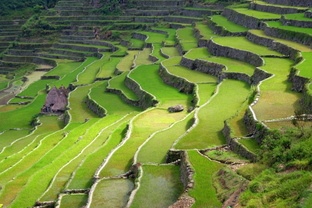 Eine der schönsten Unesco Welterbestätten auf den Philippinen sind die Reisterrassen von Banaue.