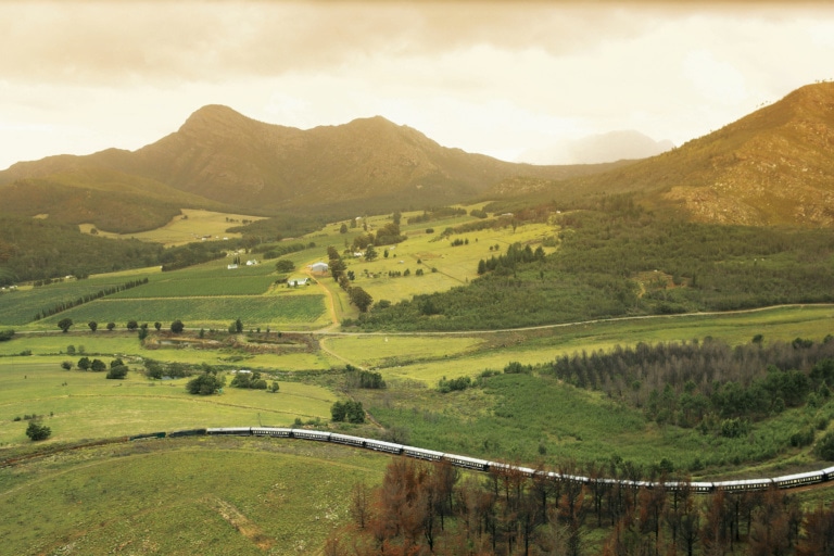 Der Rovos Rail gehört definitiv zu den luxuriösesten Unterkünften der Welt. Hier fährt er durch grüne afrikanische Landschaft.