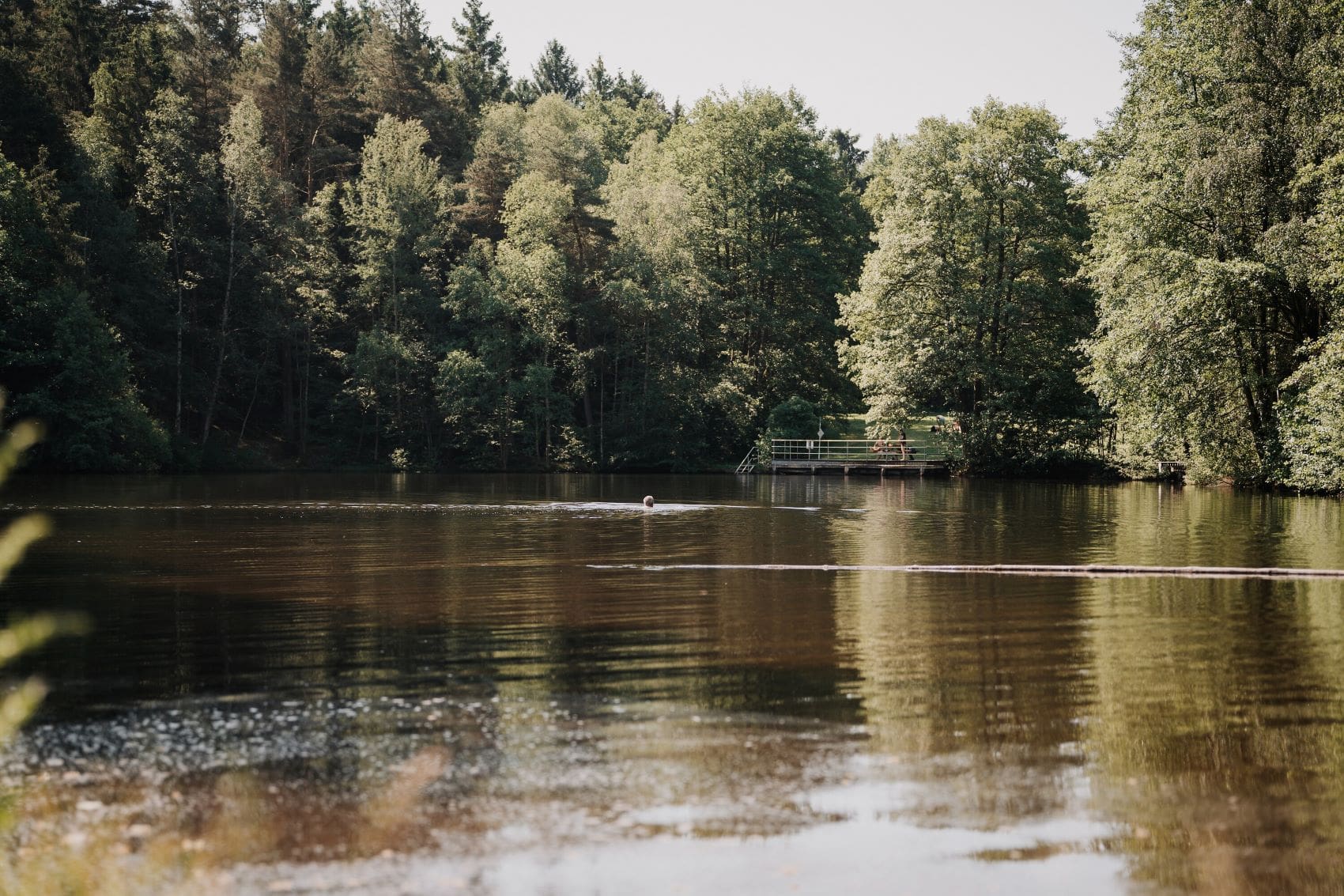 Blick auf Argenthaler Waldsee