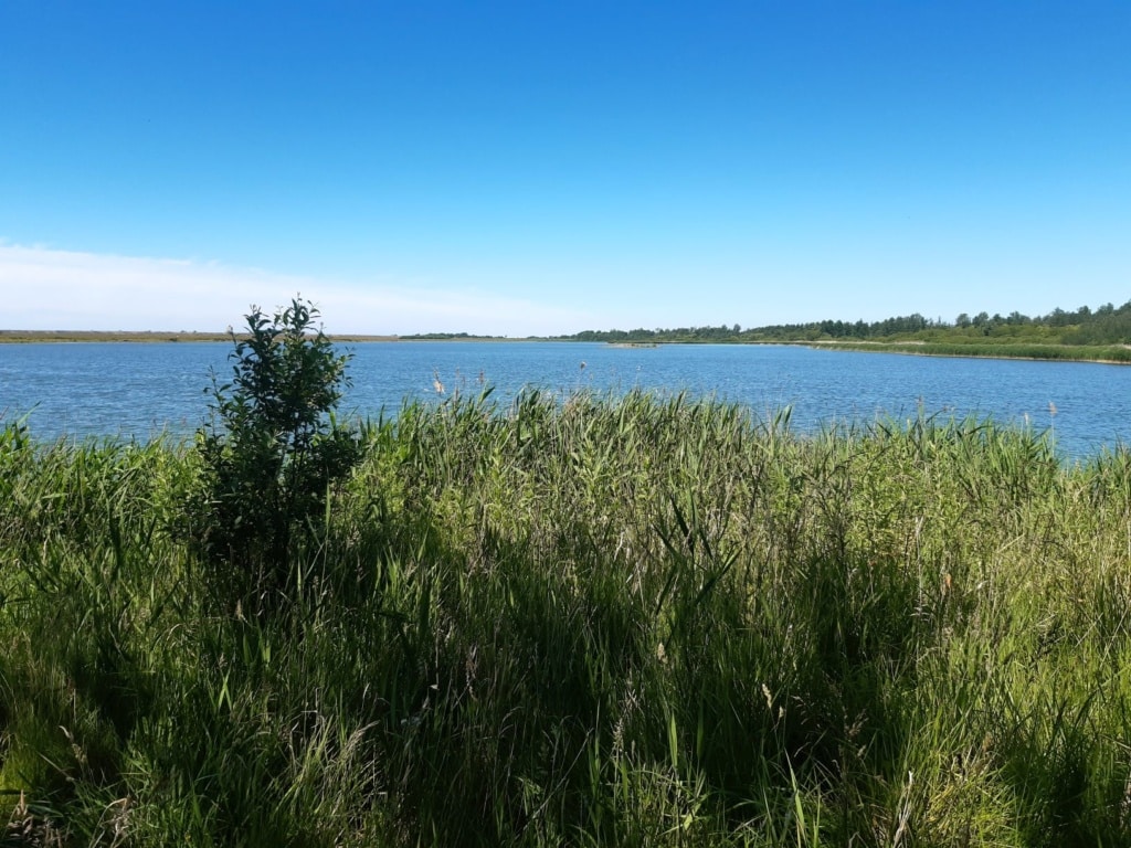 Landschaft im Kattinger Watt
