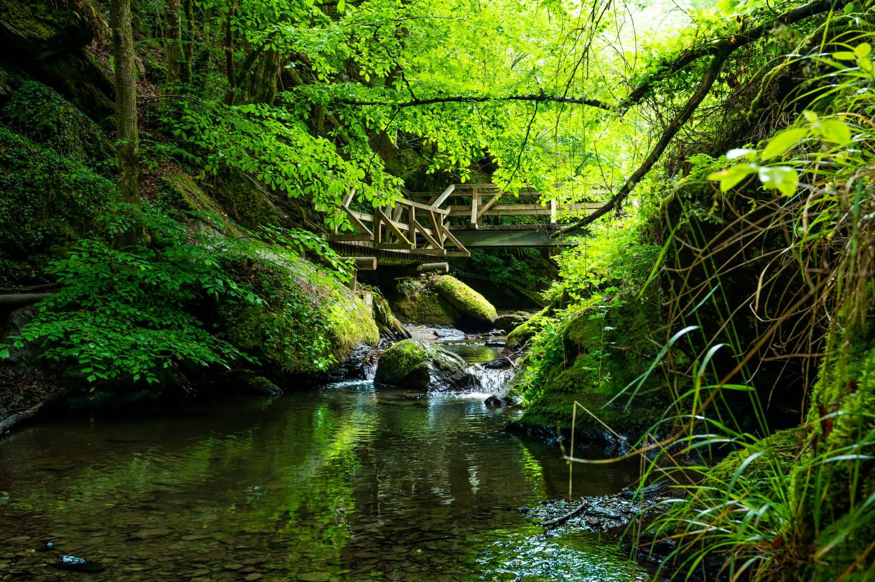 Holzbrücke am Ehrbachklamm im Hunsrück
