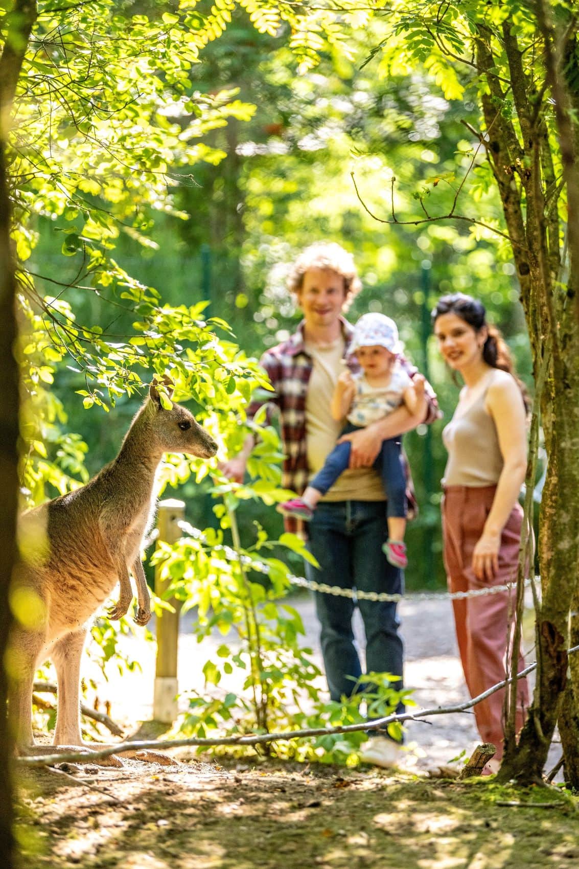 Familie vor Känguru im Tier-Erlebnispark Bell im Hunsrück