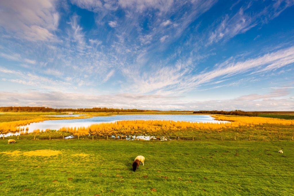 Katinger Watt an der Nordsee