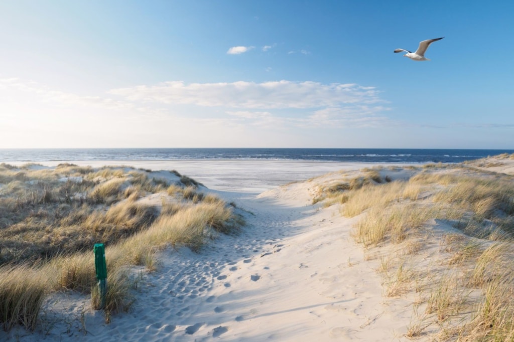 Strand, Dünen und Nordsee