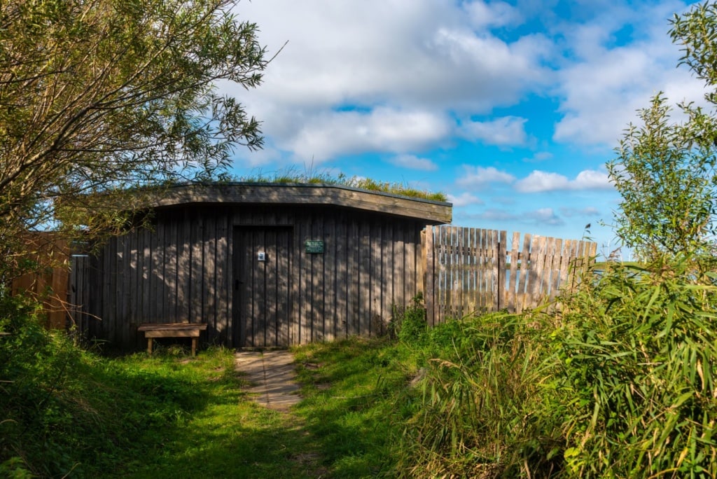 Vogelbeobachtungshütte im Beltringharder Koog bei Luettmoorsiel