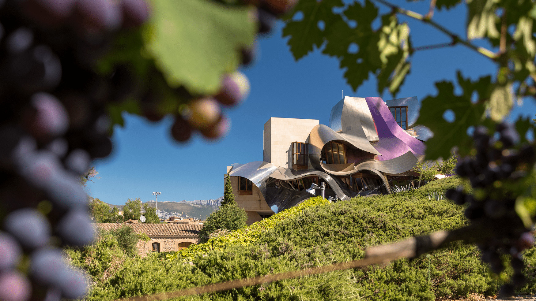 Das Marqués de Riscal ist ein architektonischer Blickfang zwischen den Weinbergen der spanischen Provinz Rioja