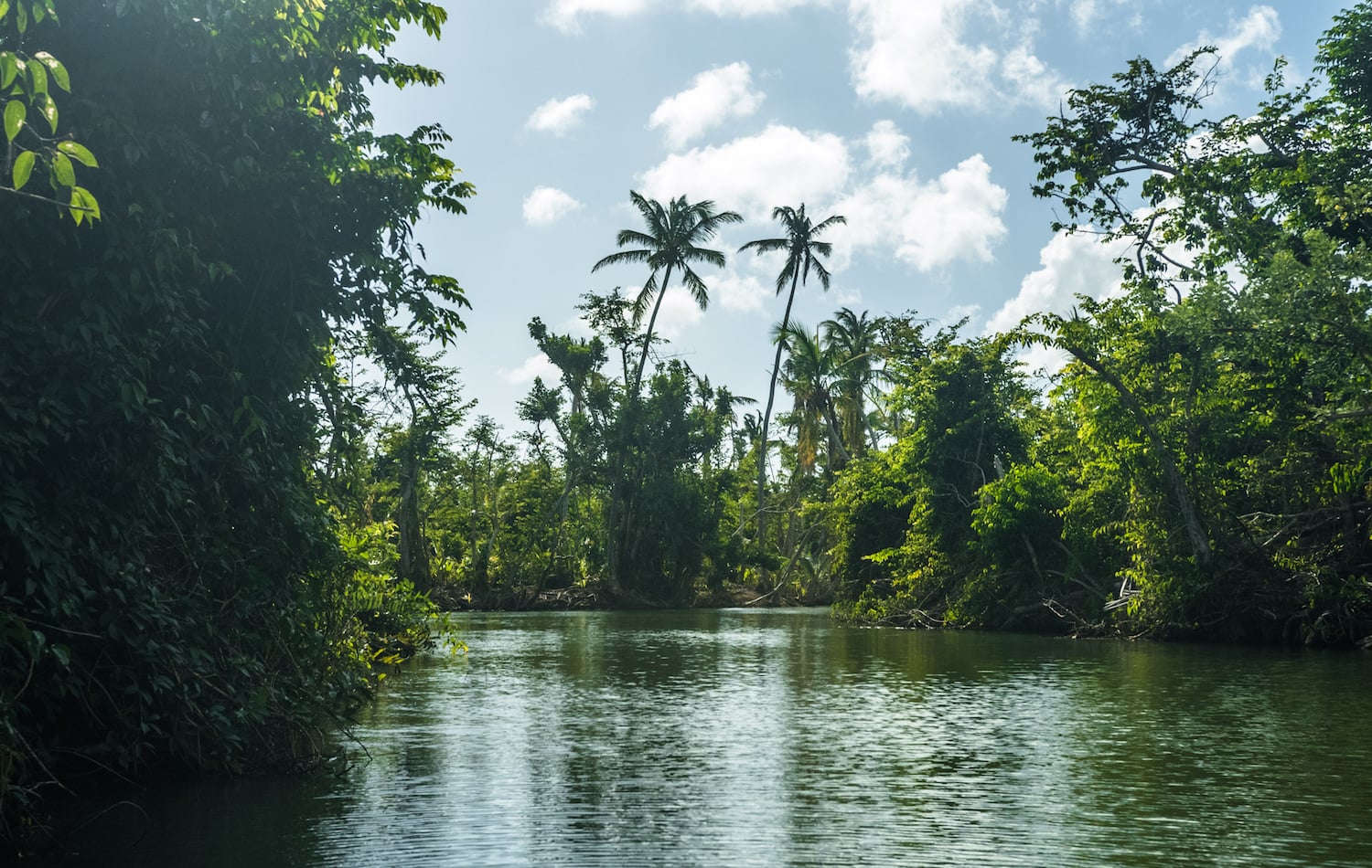 Indian River Dominica