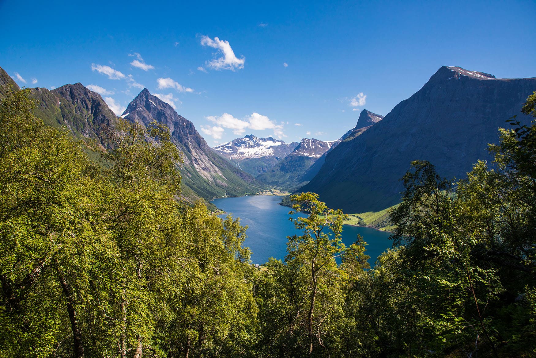 Blick in den wunderschönen Hjorundfjord mit Bäumen und Bergen