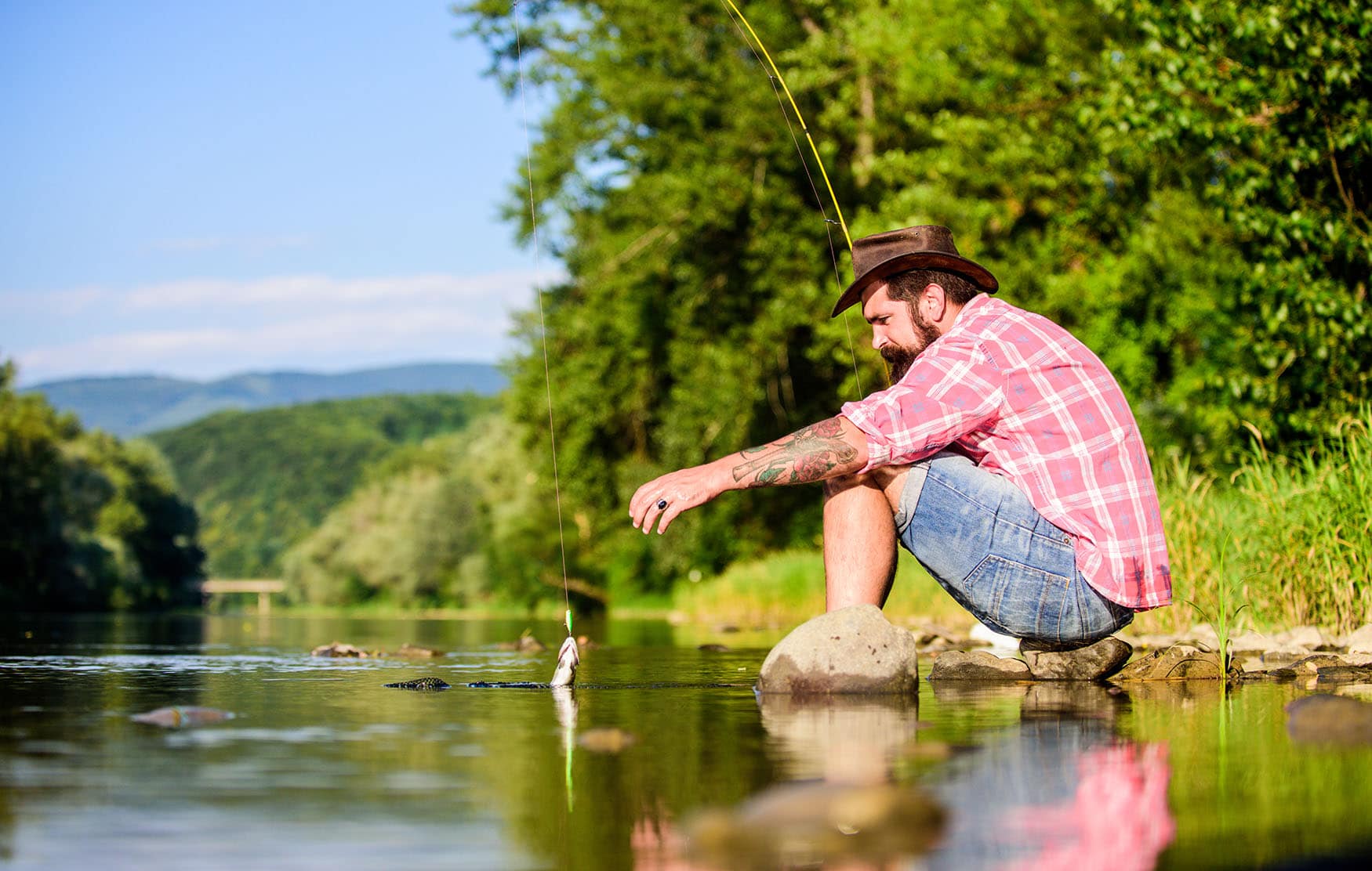 Fliegenfischer zieht seinen Fang aus dem wasser