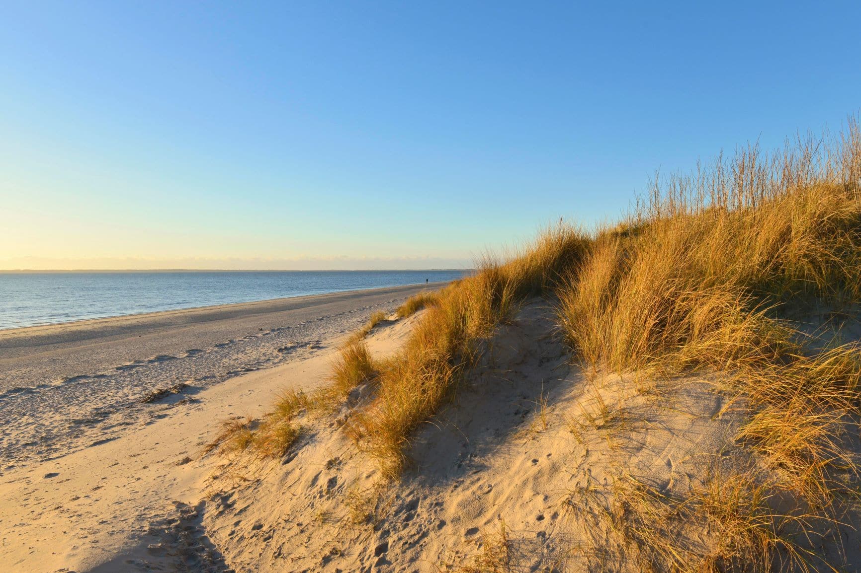 Gotinger Kliff auf Insel Föhr.