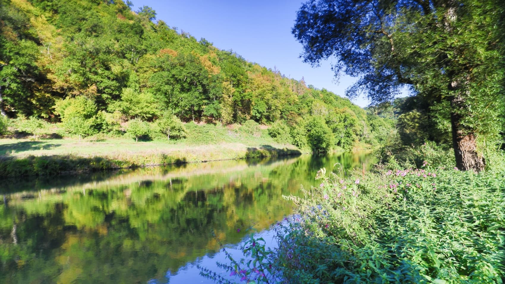 Lahn bei Laurenburg.