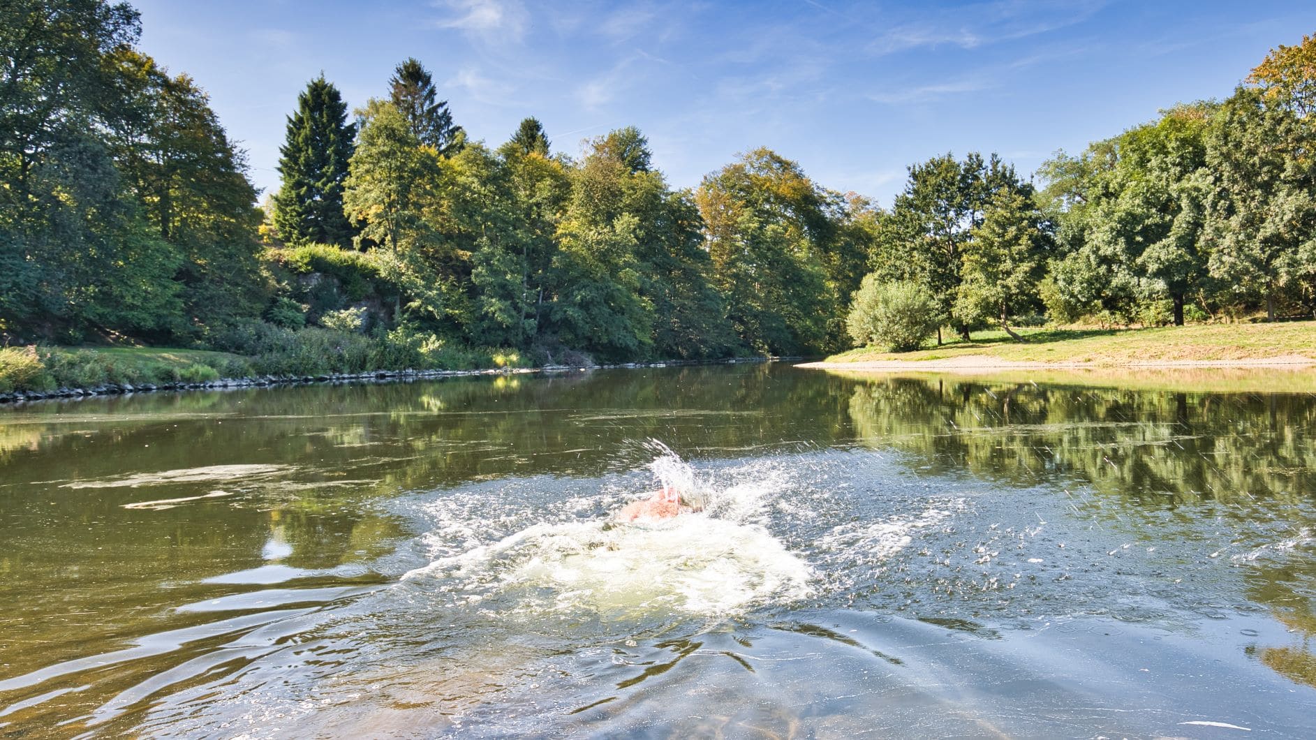 Wild Swimming in Deutschland: Schwimmer in Sieg bei Windeck.