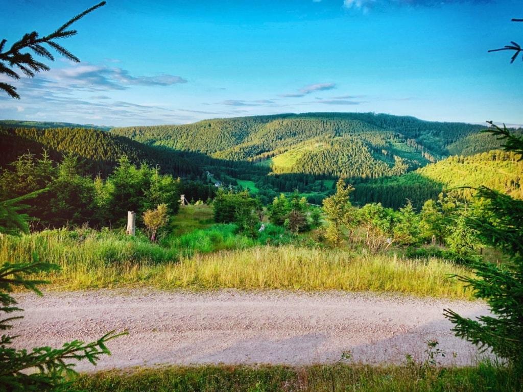 Weg und Landschaft im Thüringer Wald