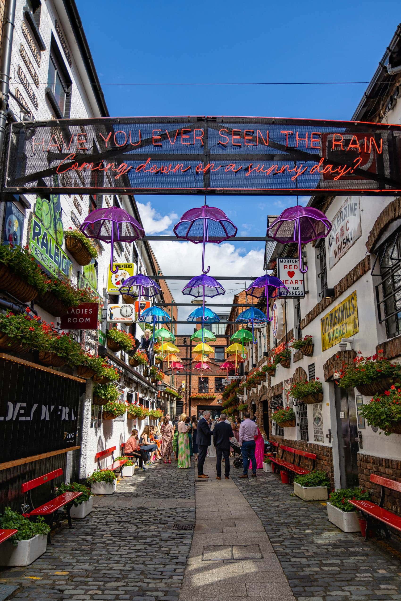 Regenschirme Straße Belfast
