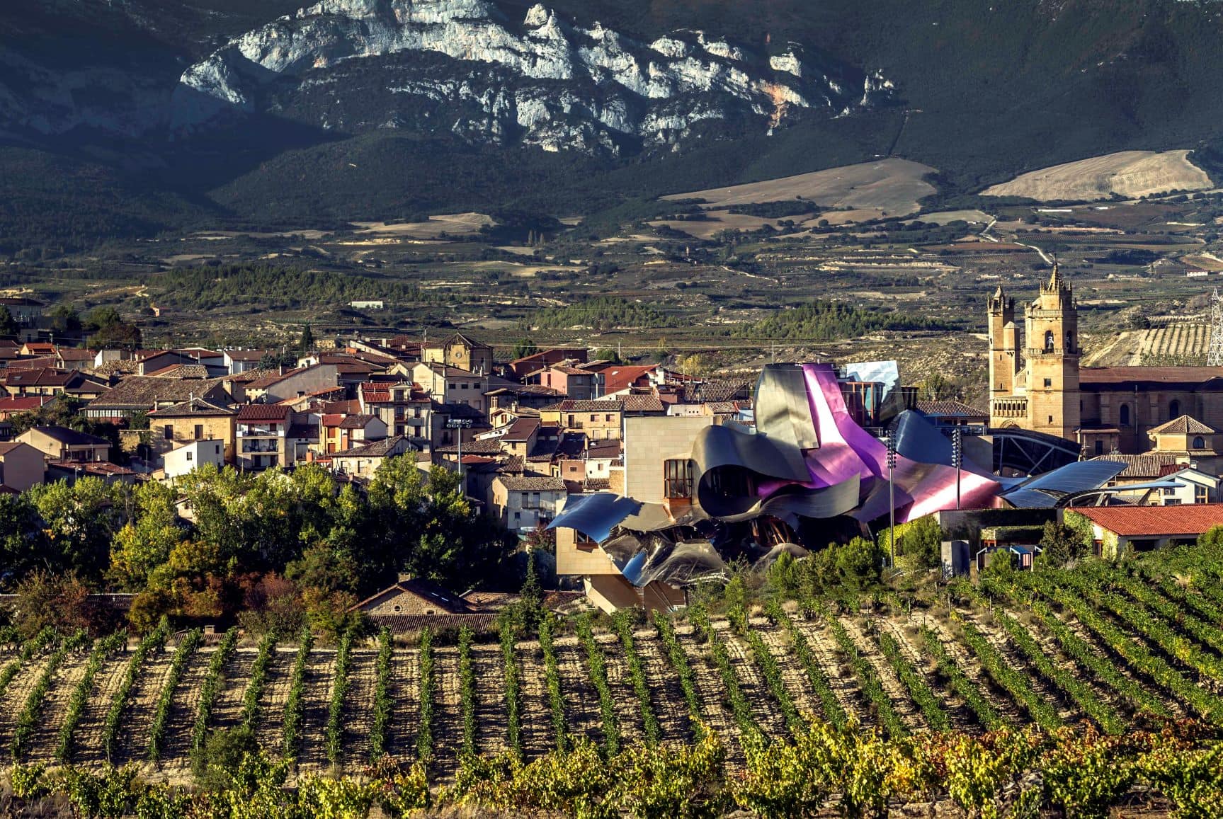 Rioja Alavesa Bodegas Marqués de Riscal