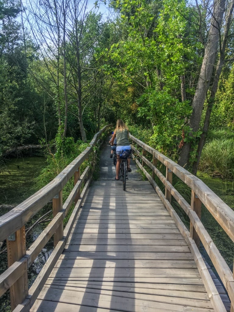 Fahrradfahrerin auf den Holzstegen im Tegeler Fließ