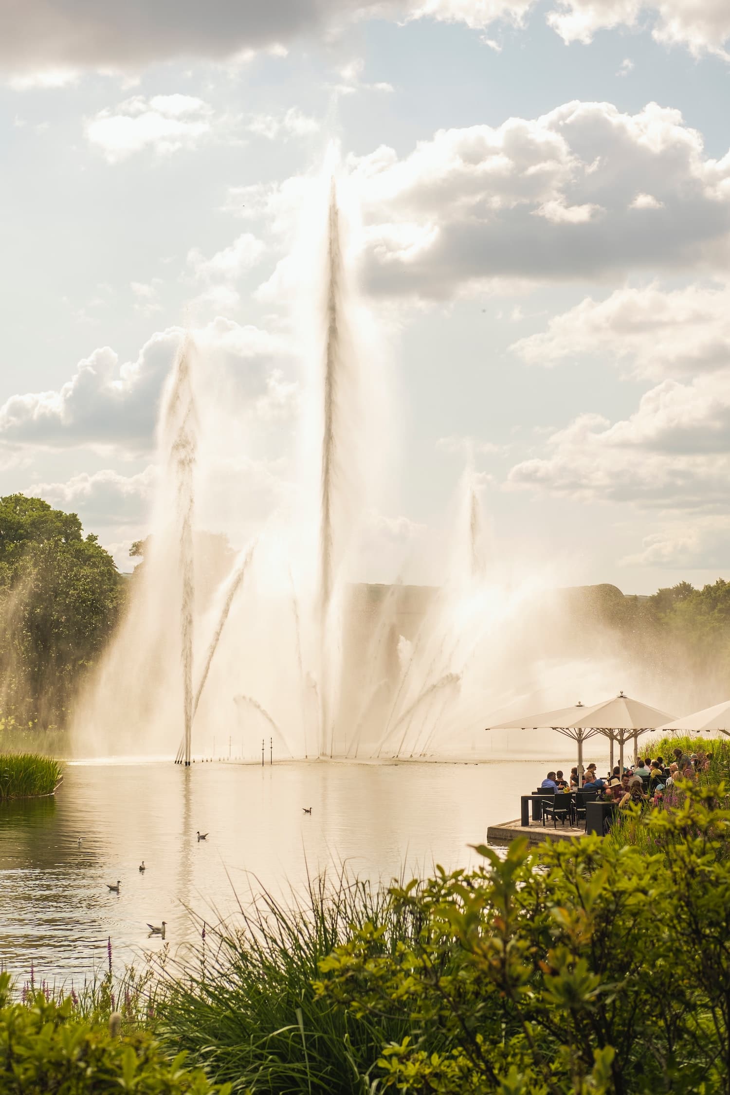 Im Stadtpark in Hamburg lässt sich entspannt der Abend ausklingen