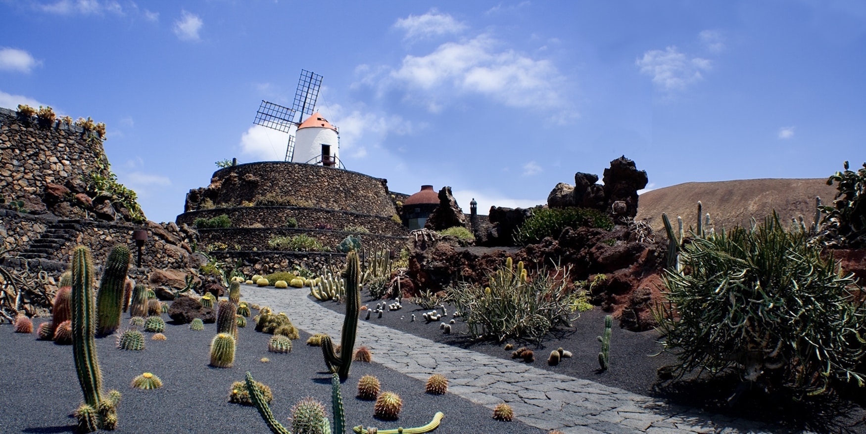 Kakteen so weit das Auge reicht im Jardín de Cactus auf Lanzarote