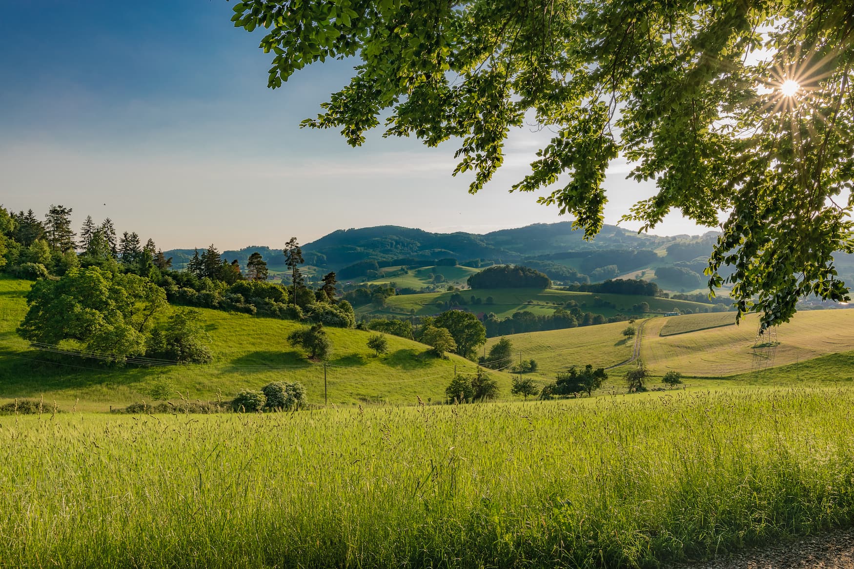 Blick auf einen Landschaftsabschnitt im Odenwald